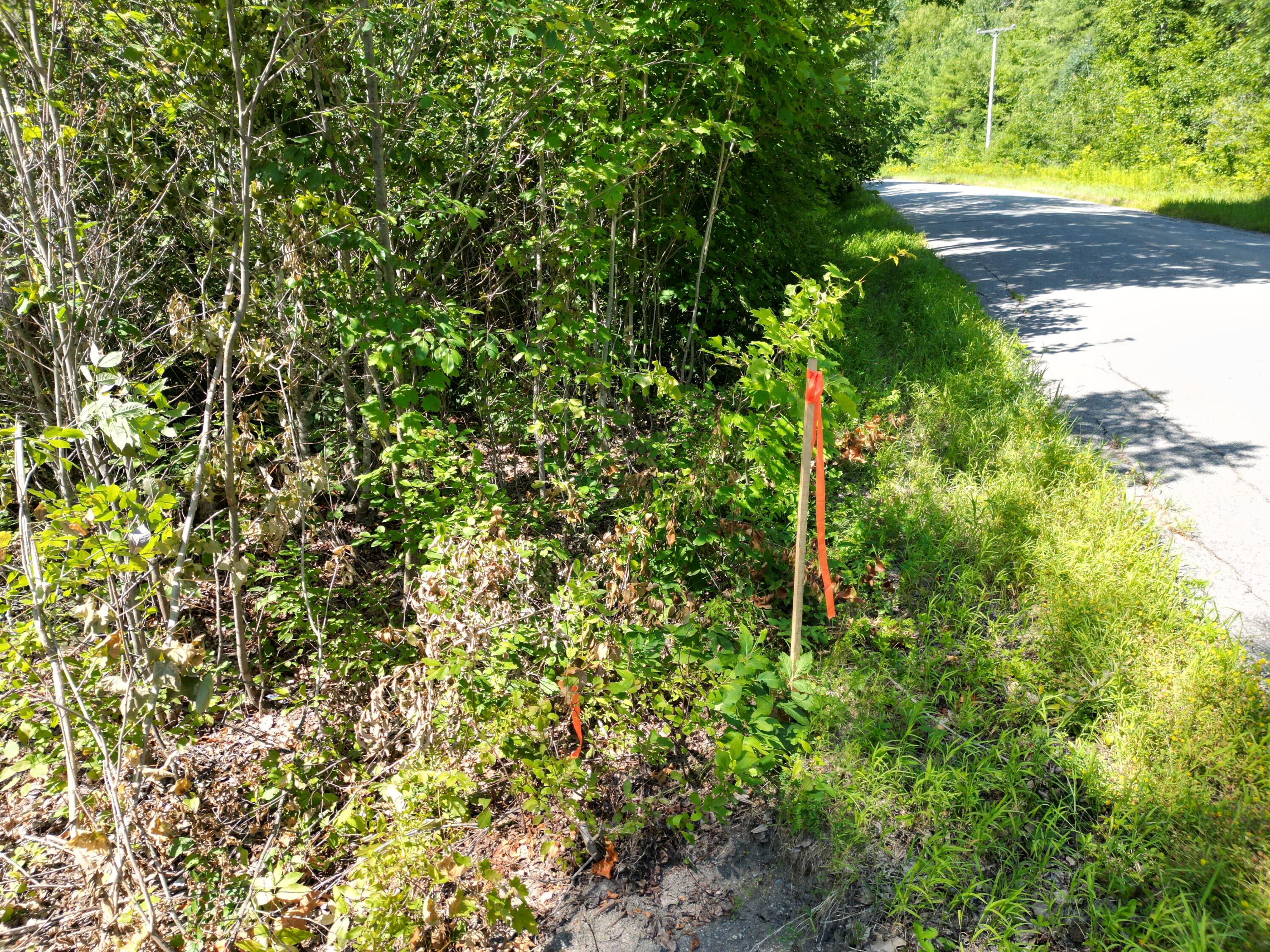 Lot 13-1 Clark Road Prospect, ME 04981 - Photo 10 of 14 DJI_0856