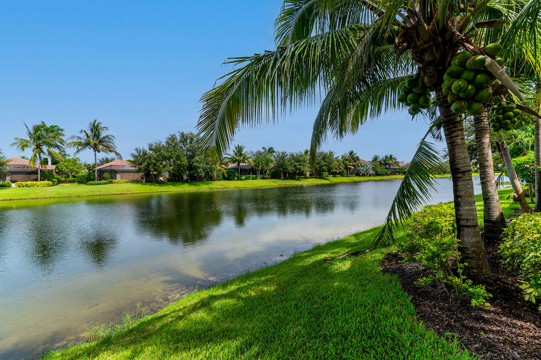 3193 Olympia Lane Naples, FL 34114 - Photo 37 of 50 a view of a lake with a palm trees