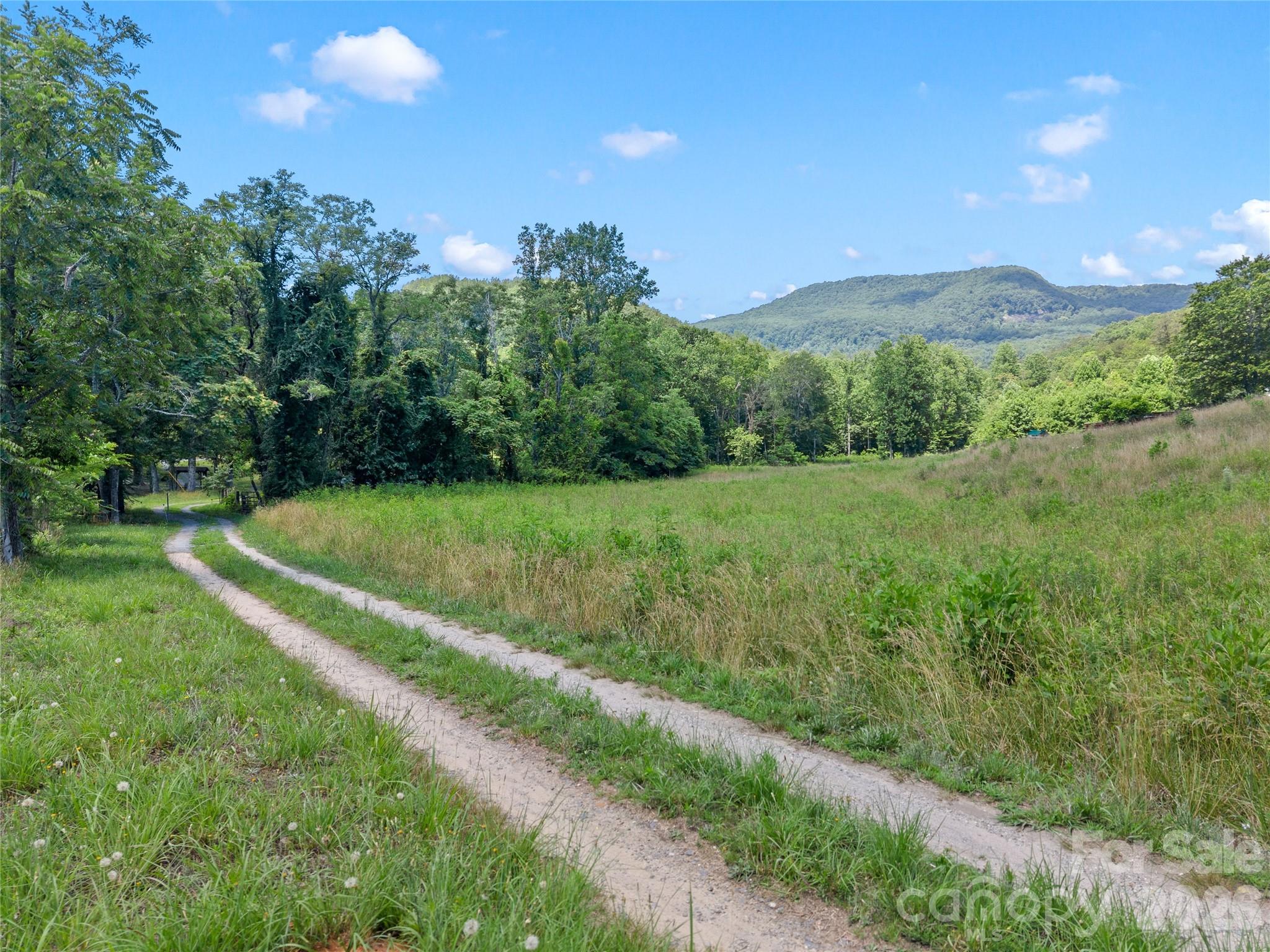 563 Burgess Road Mill Spring, NC 28756 - Photo 34 of 43