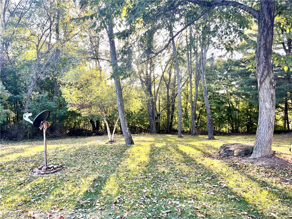 78700 Eva Mae Road Freeport, OH 43973 - Photo 19 of 33 View of yard