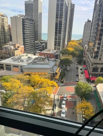 $2,350 | 1030 North State Street, Unit 6F, Chicago, IL 60610