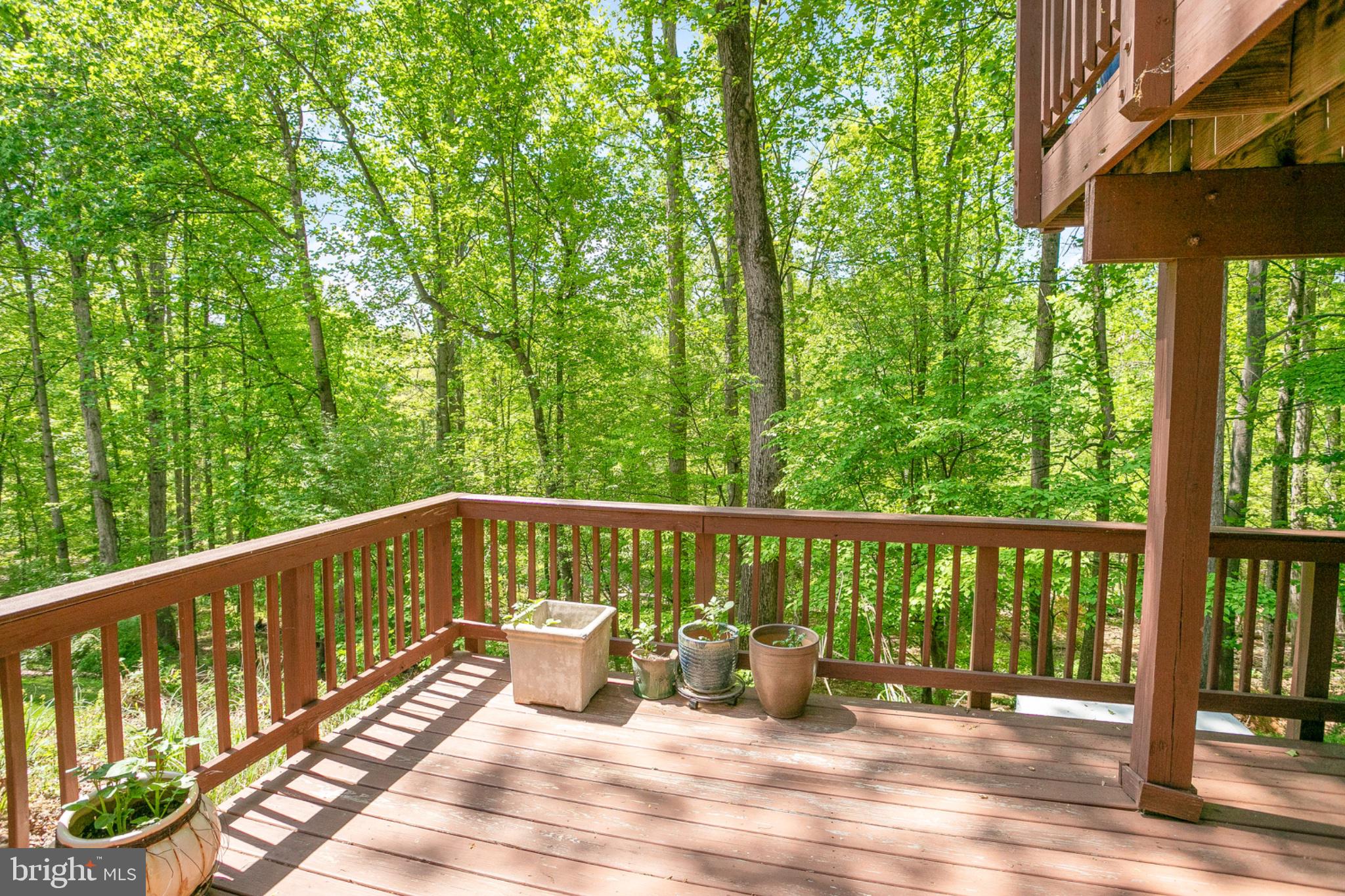 11434 Cedar Ridge Drive Potomac, MD 20854 - Photo 38 of 50