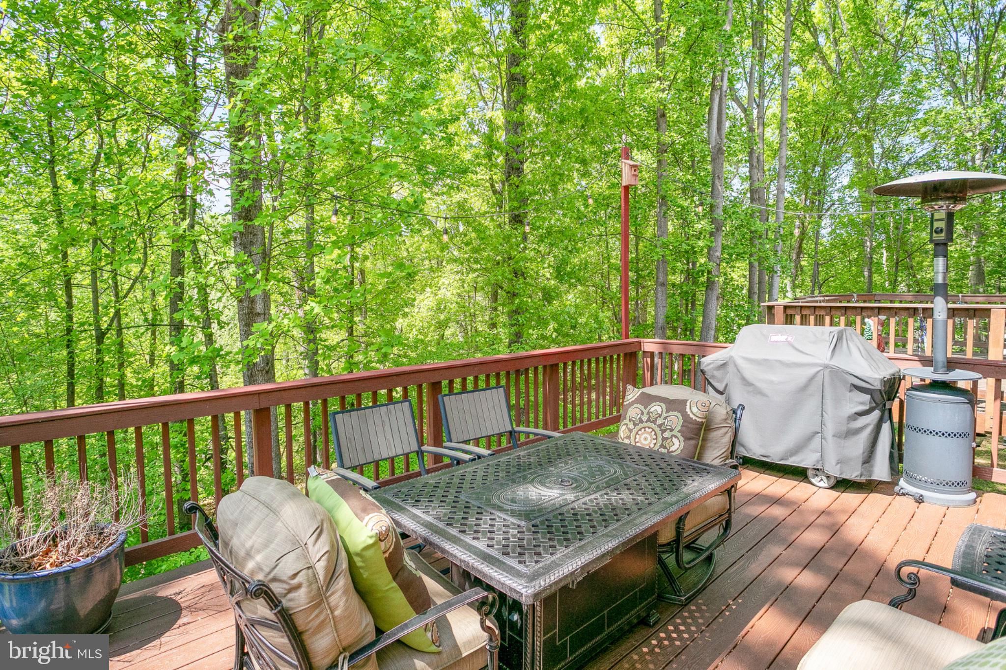 11434 Cedar Ridge Drive Potomac, MD 20854 - Photo 41 of 50