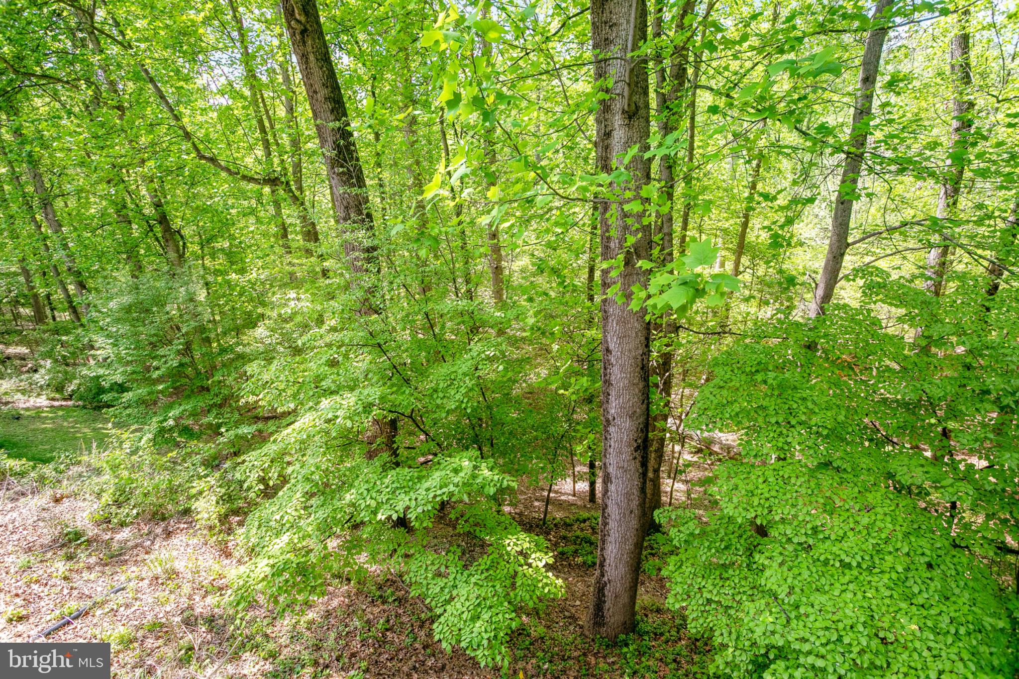 11434 Cedar Ridge Drive Potomac, MD 20854 - Photo 42 of 50