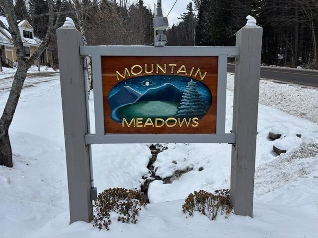 195 Mann Road, Unit 12 Wilmington, VT 05363 - Photo 3 of 52