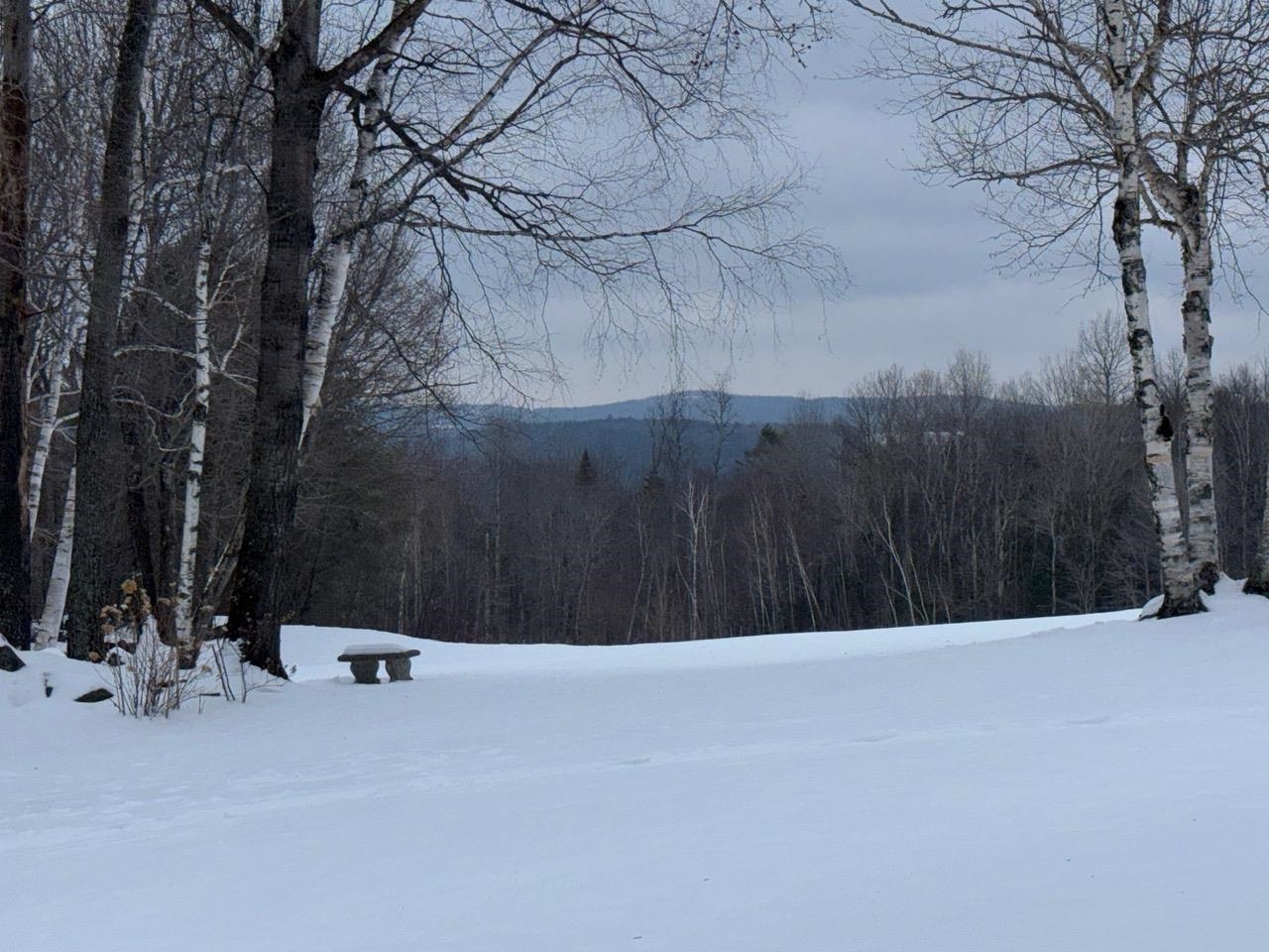195 Mann Road, Unit 12 Wilmington, VT 05363 - Photo 50 of 52