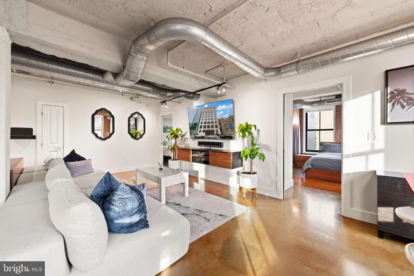 a living room with furniture and a potted plant