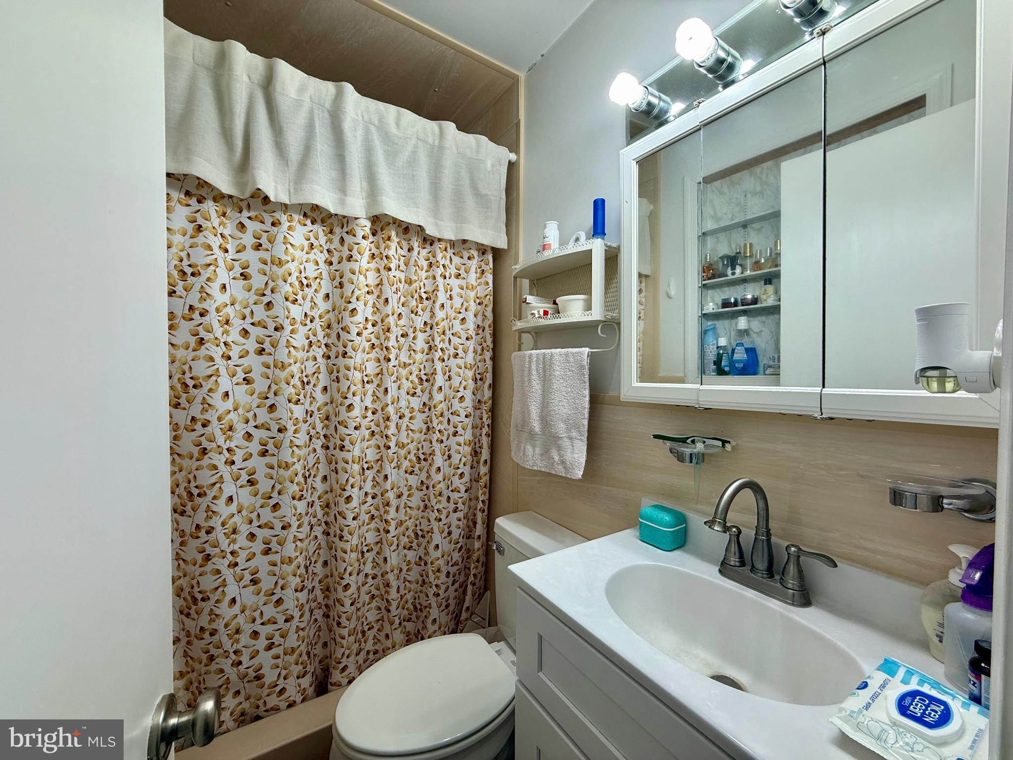 29866 Jefferson Road Mechanicsville, MD 20659 - Photo 31 of 43 a bathroom with a sink toilet and shower