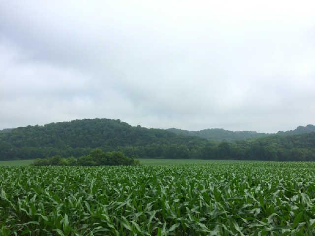 0 Parsons Bend Road Columbia, TN 38401 - Photo 5 of 9 a view of a field of grass and a mountain view