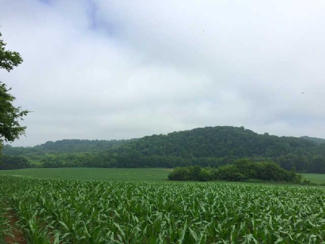 0 Parsons Bend Road Columbia, TN 38401 - Photo 6 of 9 a view of a field of grass and mountain