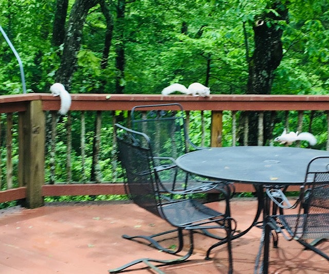 86 Meadow Ridge Cashiers, NC 28717 - Photo 52 of 52 Gallery Image 52