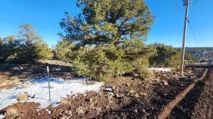 a view of a white house with a yard and mountain view
