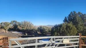 a view of a backyard of the house