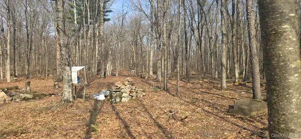 a view of a backyard of the house