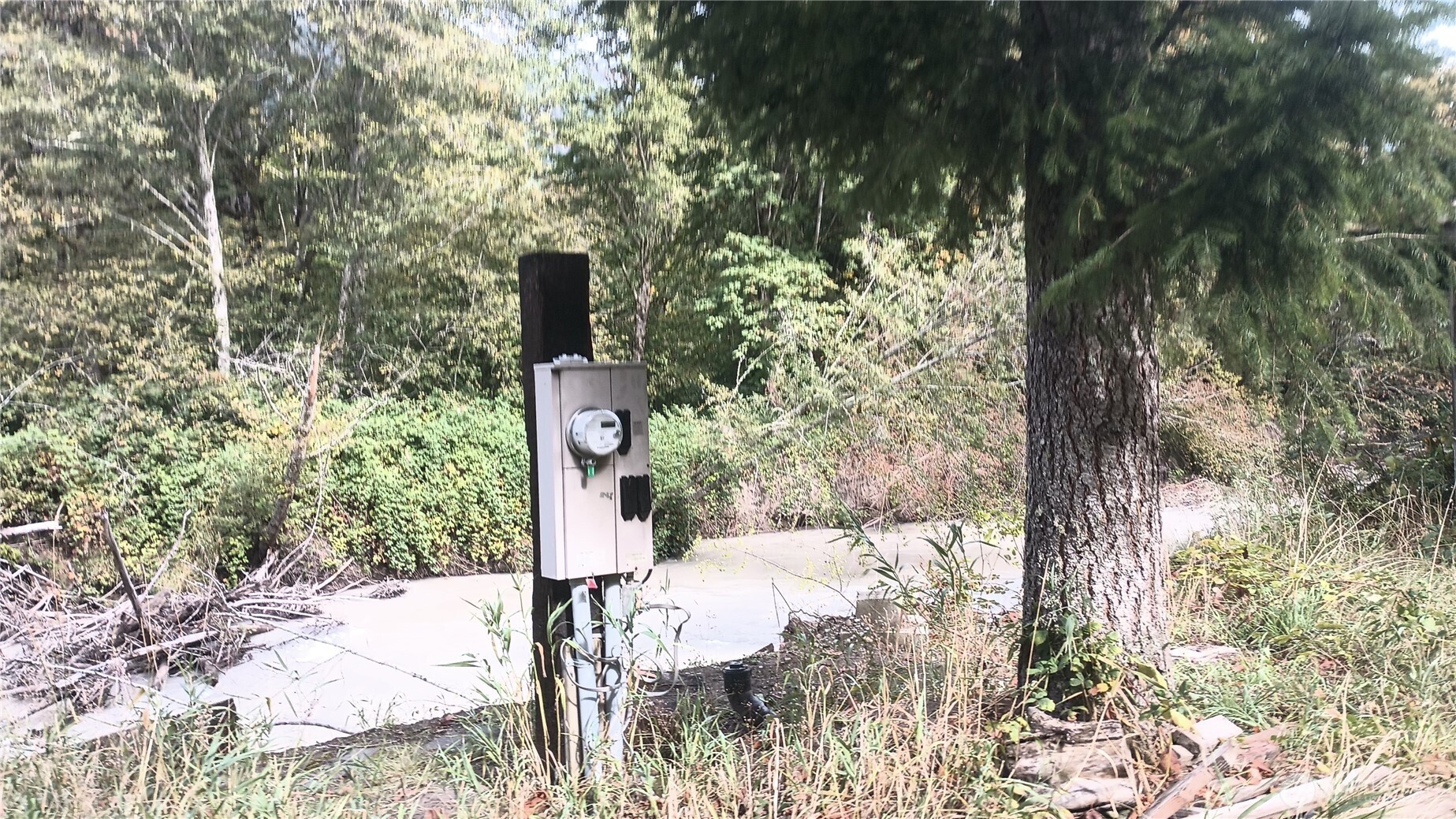 0 Burton Creek Road Randle, WA 98377 - Photo 14 of 17 Gallery Image 14