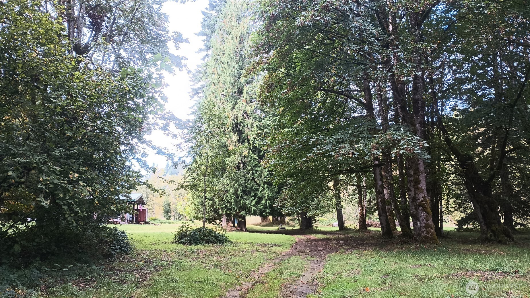0 Burton Creek Road Randle, WA 98377 - Photo 8 of 17 Gallery Image 8