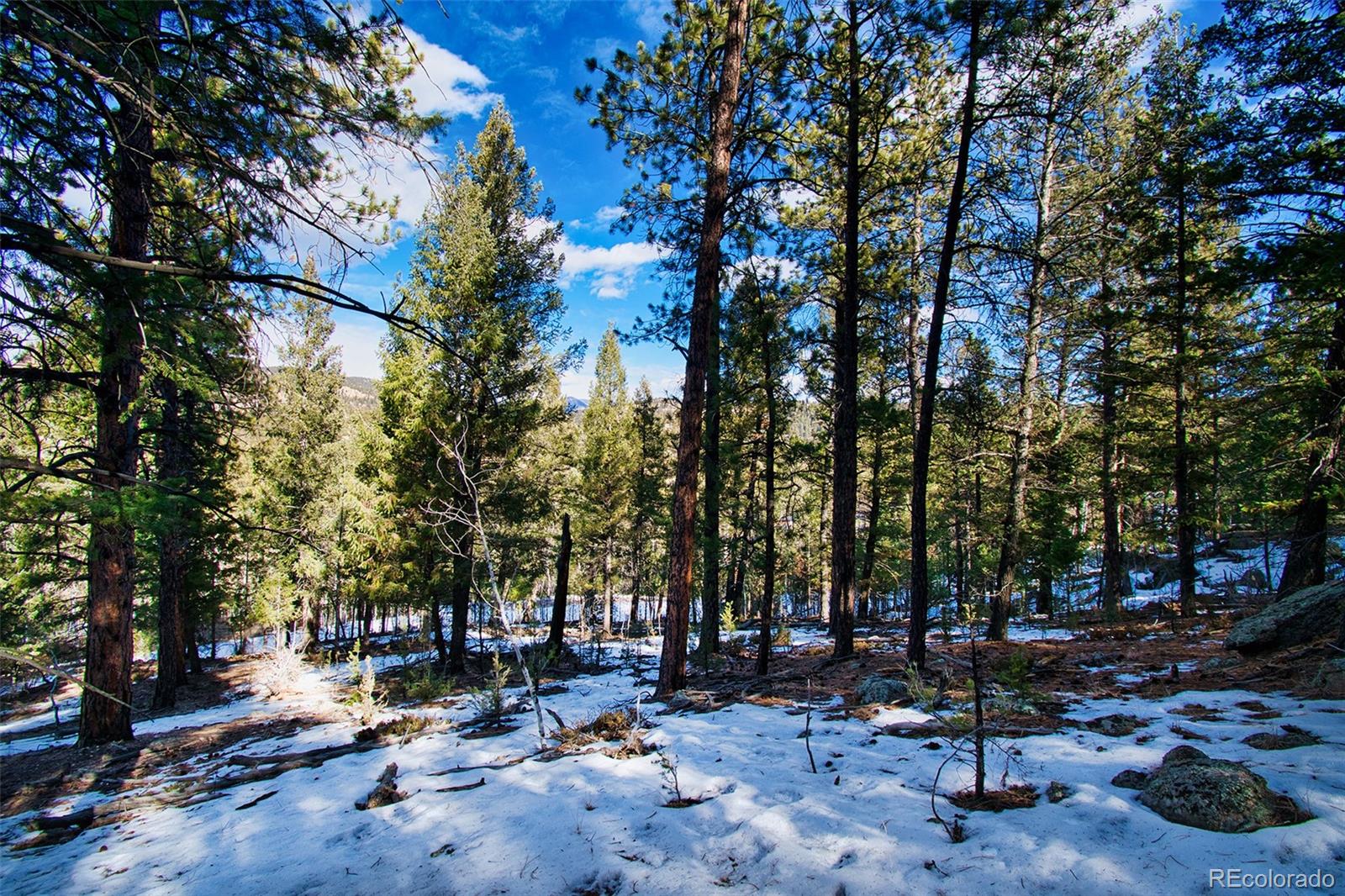 698 Impala Trail Bailey, CO 80421 - Photo 14 of 26 Gallery Image 14