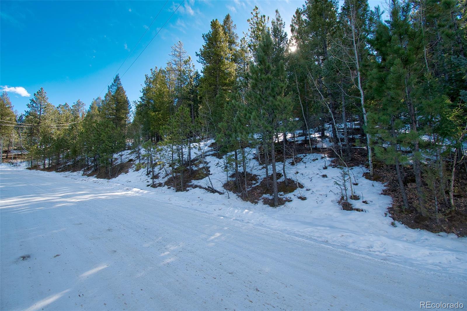 698 Impala Trail Bailey, CO 80421 - Photo 9 of 26 Gallery Image 9