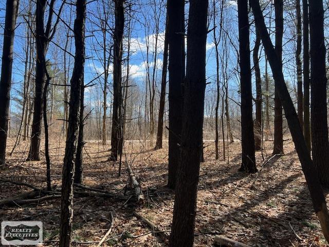 0 Burton Road Capac, MI 48014 - Photo 4 of 10