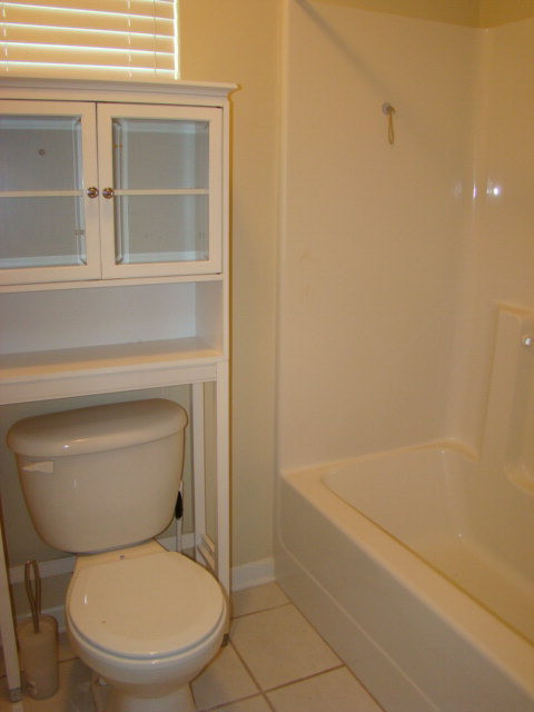 4001 Rosedale Place Grovetown, GA 30813 - Photo 17 of 20 Hall Bathroom