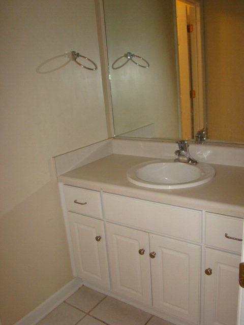 4001 Rosedale Place Grovetown, GA 30813 - Photo 18 of 20 Hall Bathroom