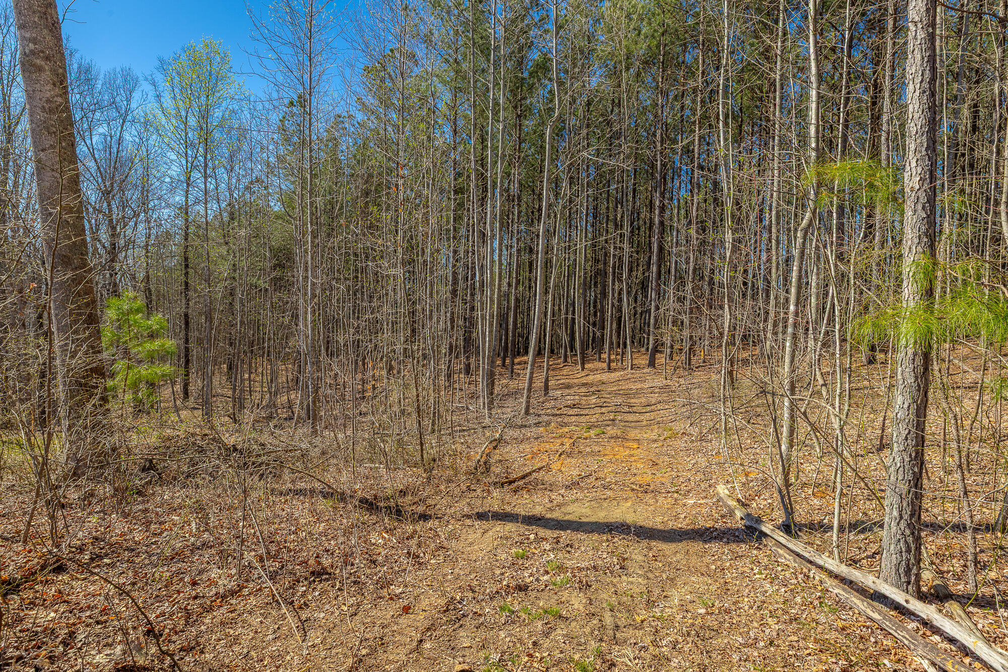 0 Moonlight Lane, Unit JF439 Jasper, TN 37347 - Photo 13 of 85 0 Cherokee Path - JF240 HD-79