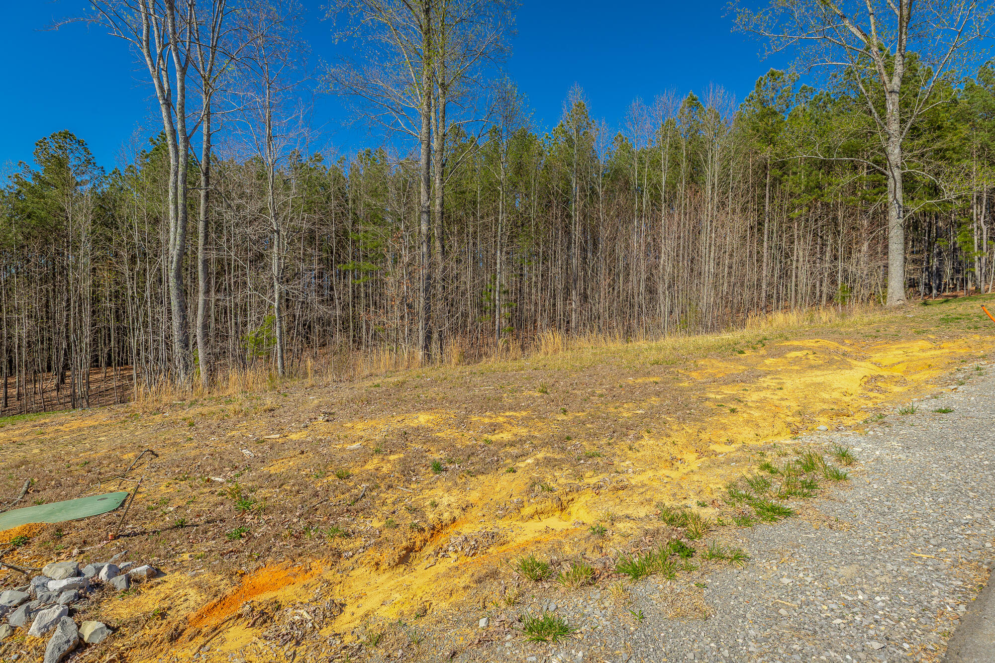 0 Moonlight Lane, Unit JF439 Jasper, TN 37347 - Photo 14 of 85 0 Cherokee Path - JF240 HD-77