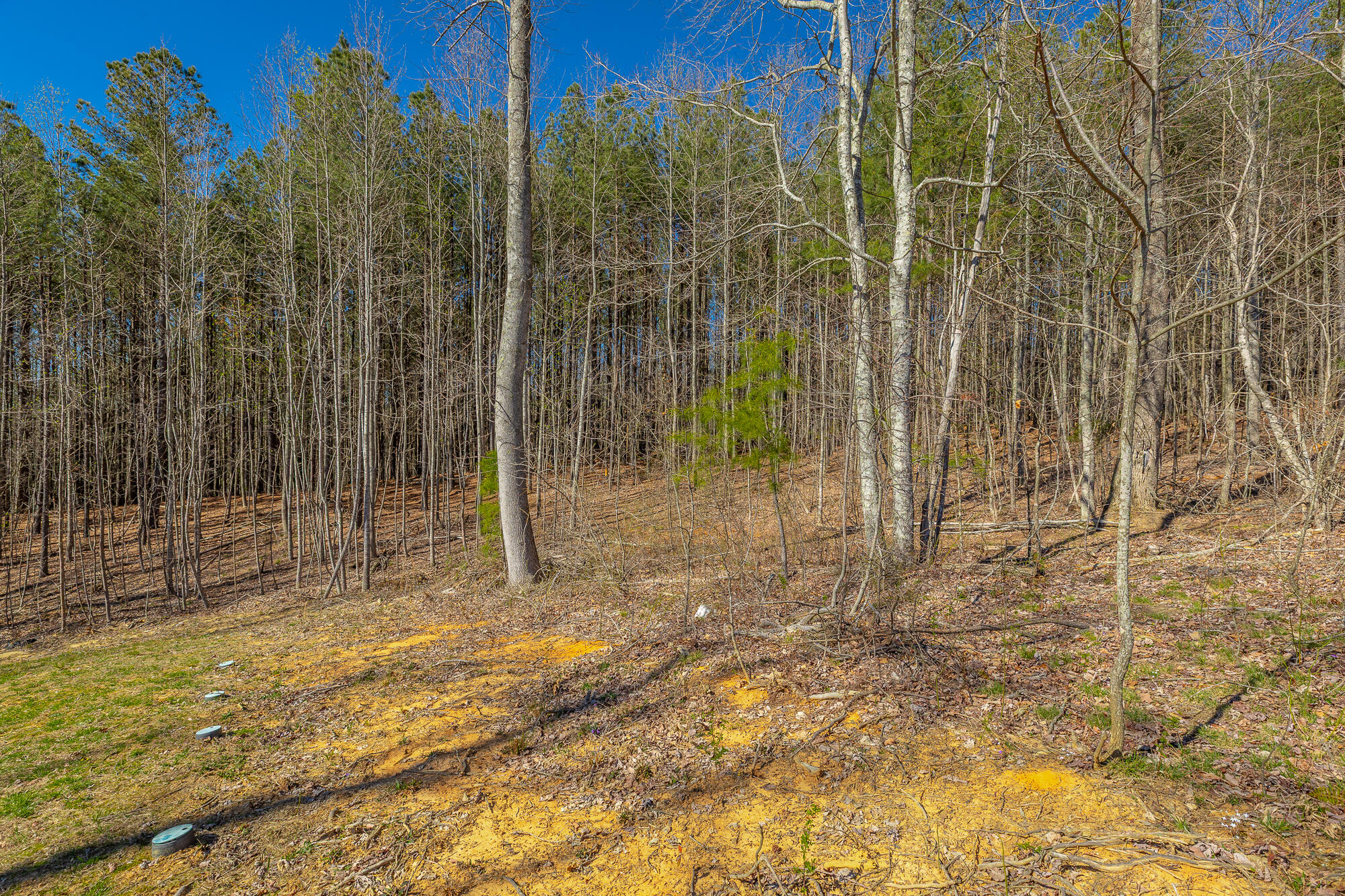 0 Moonlight Lane, Unit JF439 Jasper, TN 37347 - Photo 16 of 85 0 Cherokee Path - JF240 HD-78