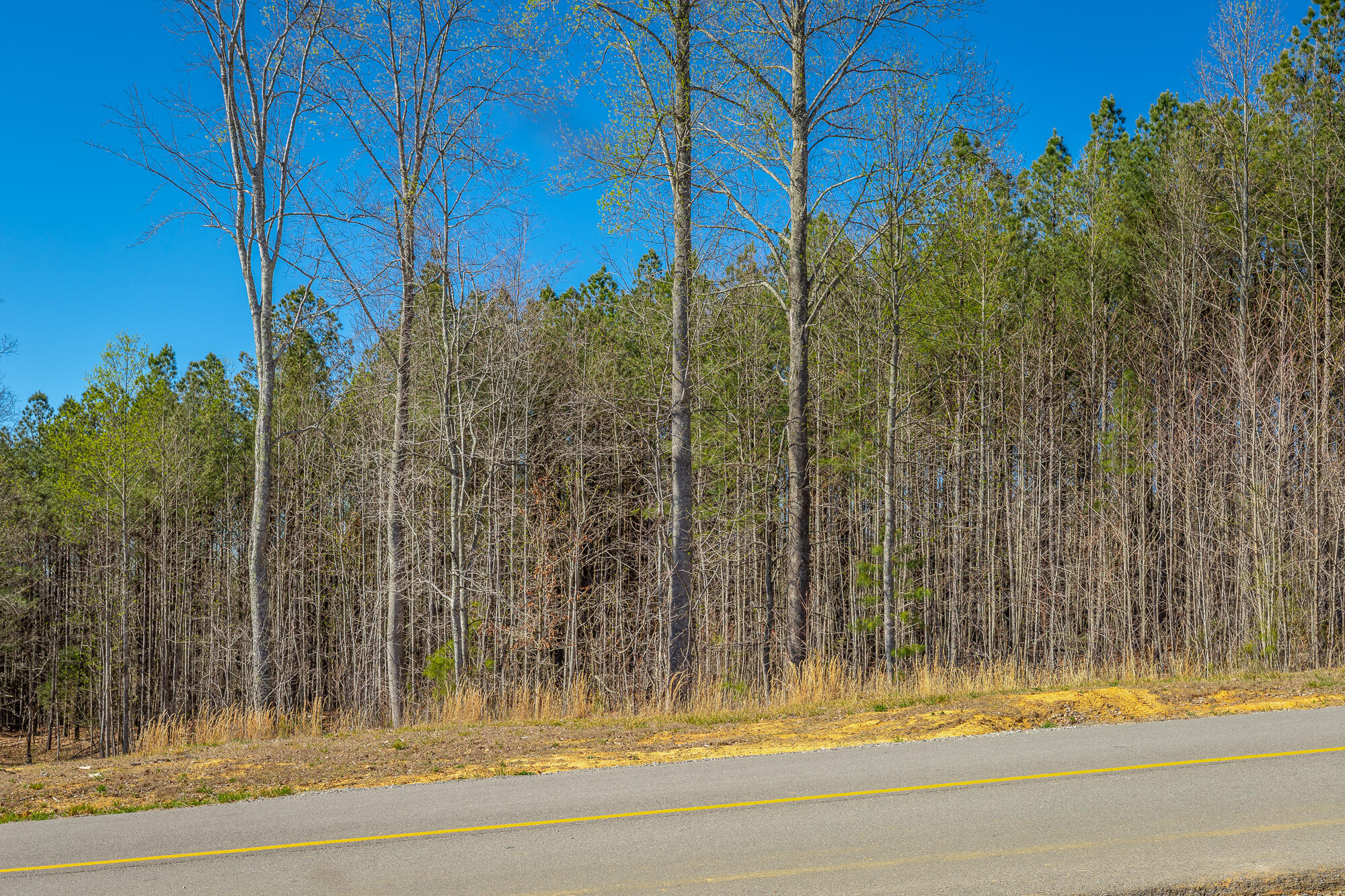 0 Moonlight Lane, Unit JF439 Jasper, TN 37347 - Photo 22 of 85 0 Cherokee Path - JF240 HD-68