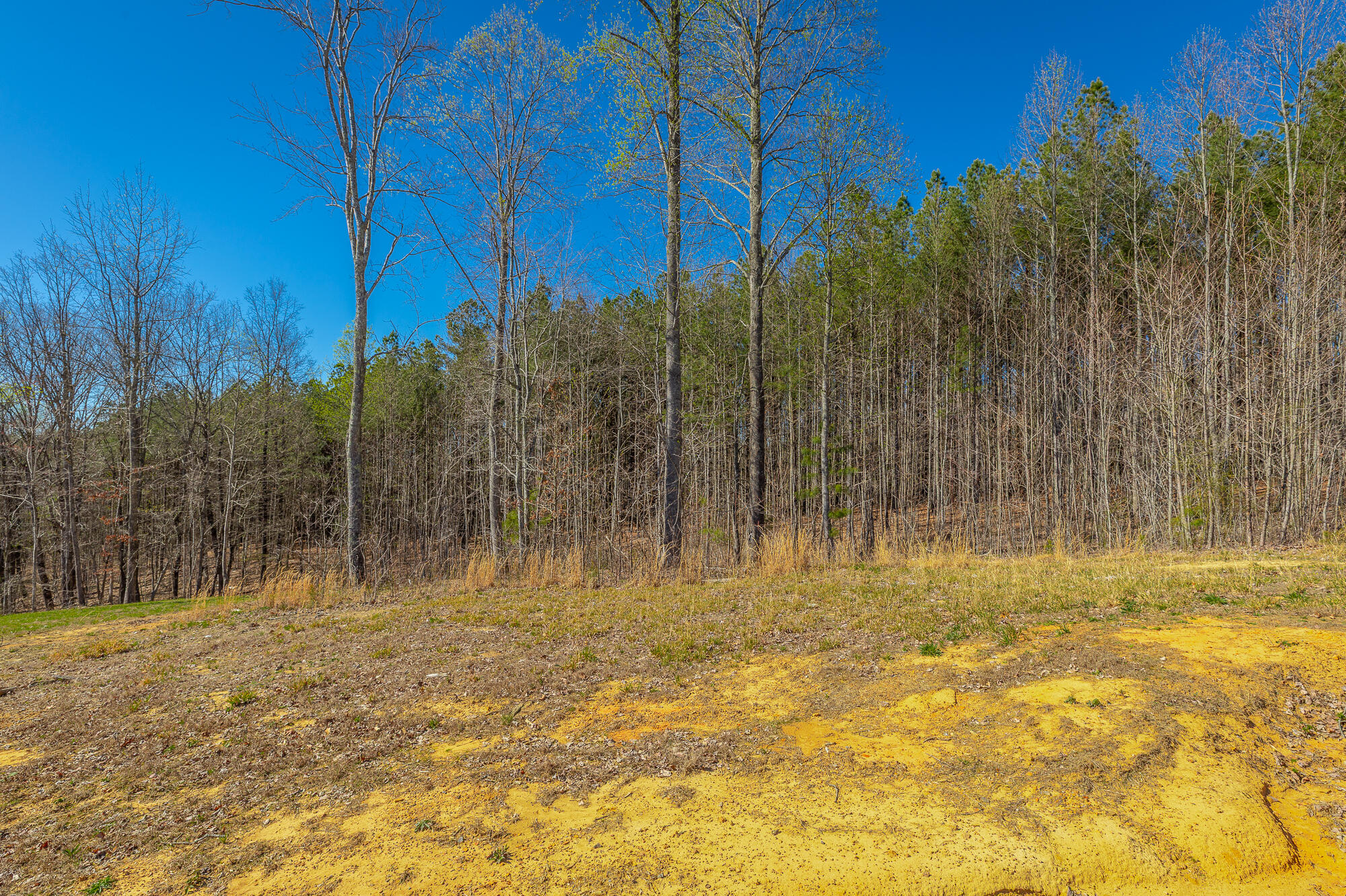 0 Moonlight Lane, Unit JF439 Jasper, TN 37347 - Photo 23 of 85 0 Cherokee Path - JF240 HD-70