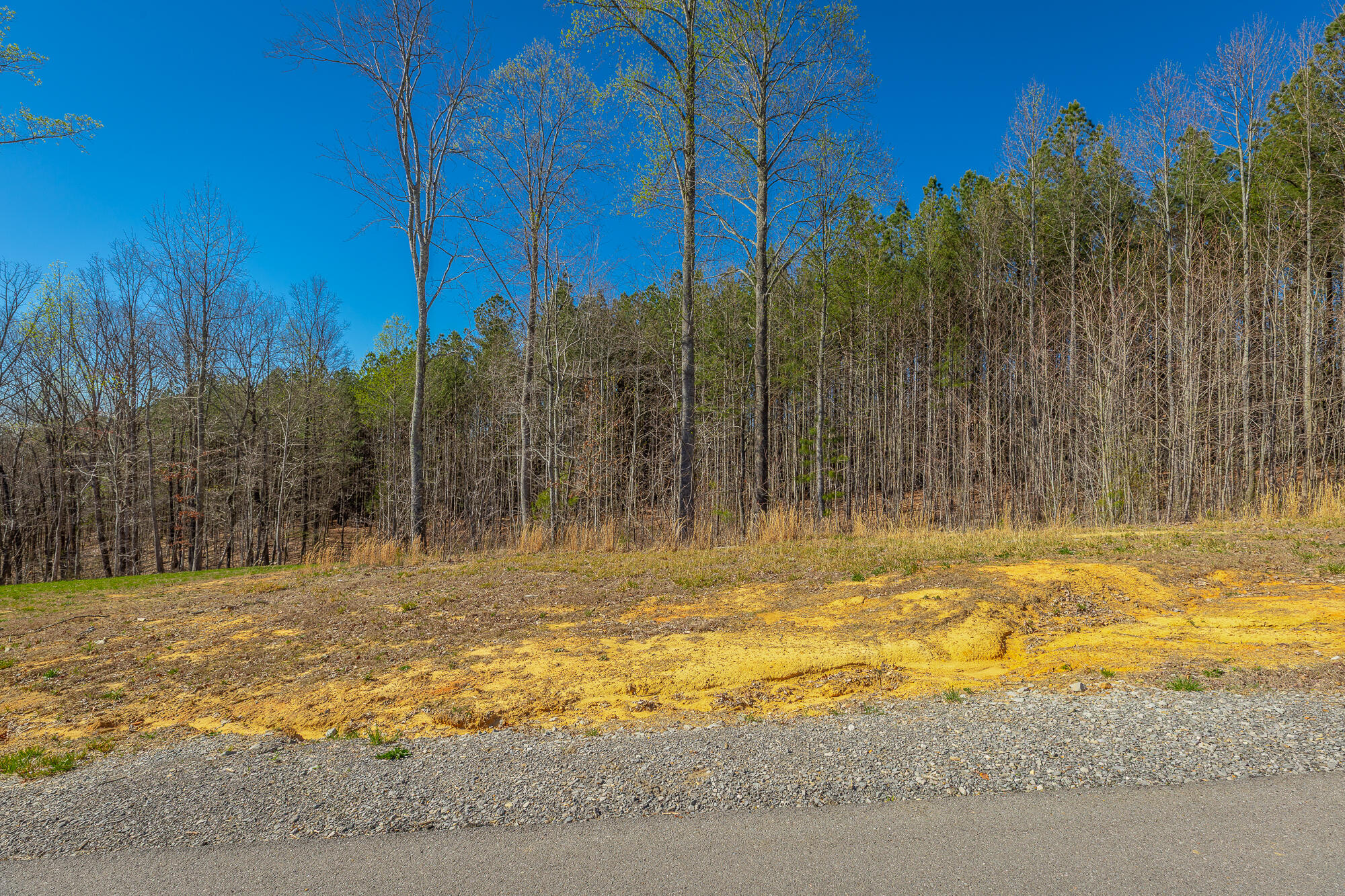 0 Moonlight Lane, Unit JF439 Jasper, TN 37347 - Photo 24 of 85 0 Cherokee Path - JF240 HD-69
