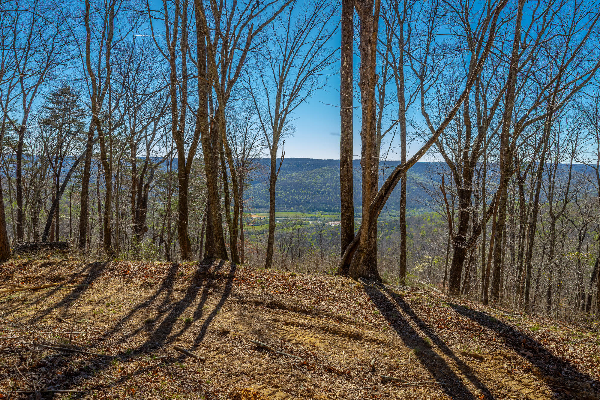 0 Moonlight Lane, Unit JF439 Jasper, TN 37347 - Photo 4 of 85 0 Cherokee Path - JF240 HD-85