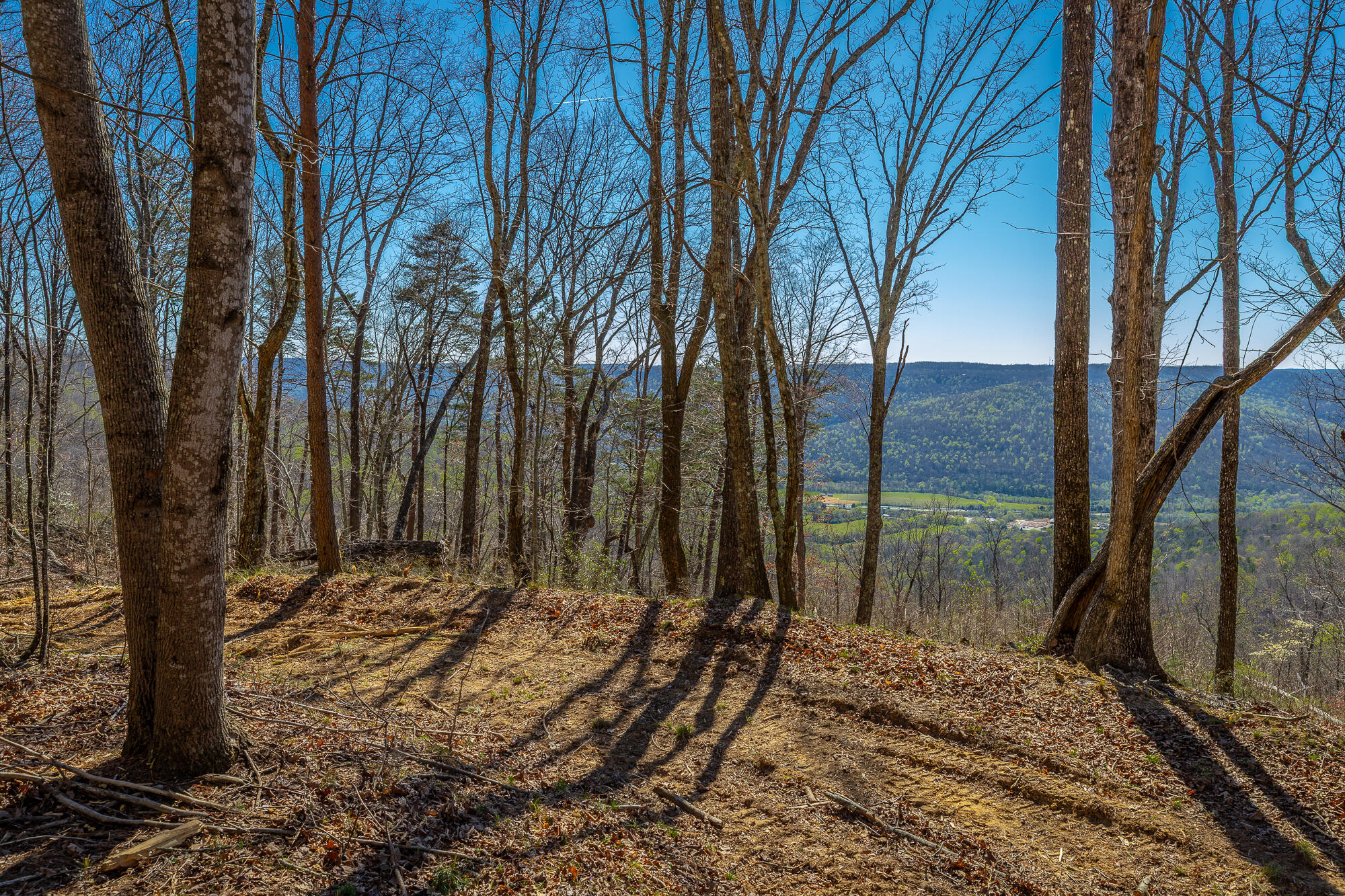0 Moonlight Lane, Unit JF439 Jasper, TN 37347 - Photo 6 of 85 0 Cherokee Path - JF240 HD-86