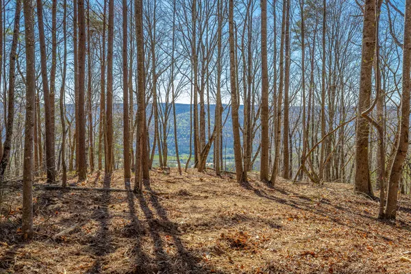 $450,000 | 0 Moonlight Lane, Unit JF439, Jasper, TN 37347