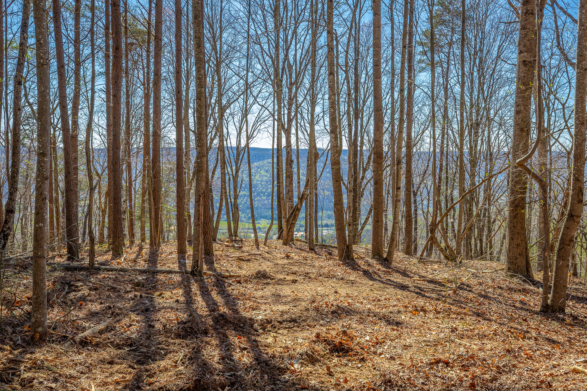 0 Moonlight Lane, Unit JF439 Jasper, TN 37347 - Photo 7 of 85 0 Cherokee Path - JF240 HD-84