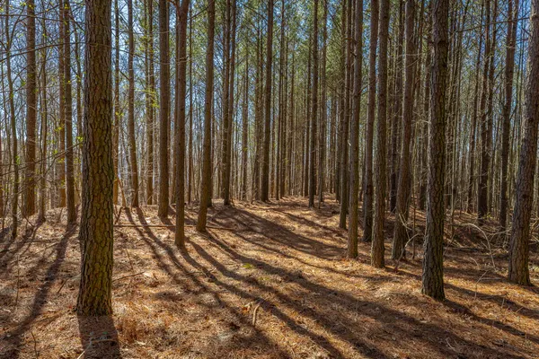 $450,000 | 0 Moonlight Lane, Unit JF439, Jasper, TN 37347