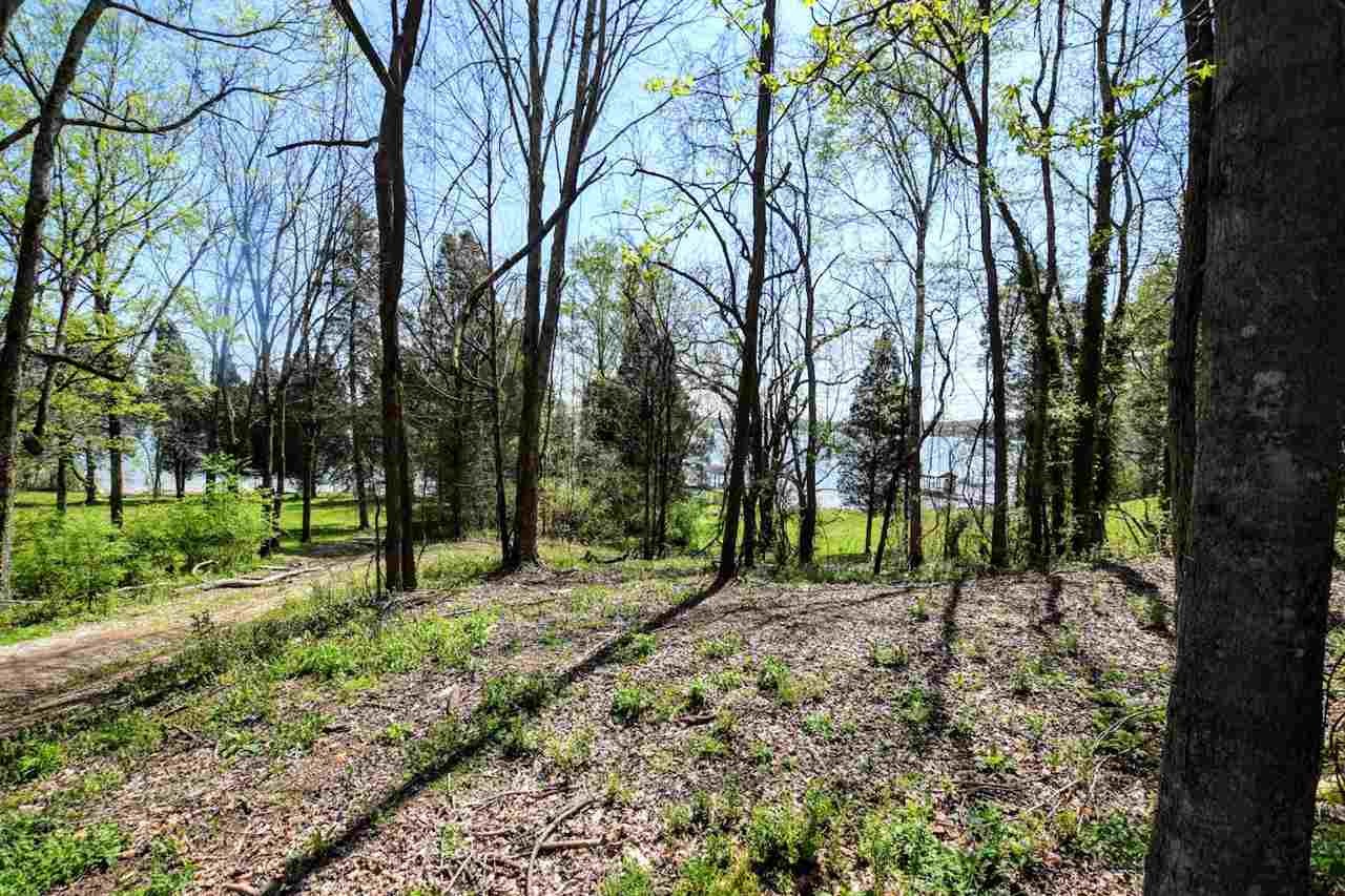 385 Cedar Heights Road Spring City, TN 37381 - Photo 4 of 11 Gallery Image 4