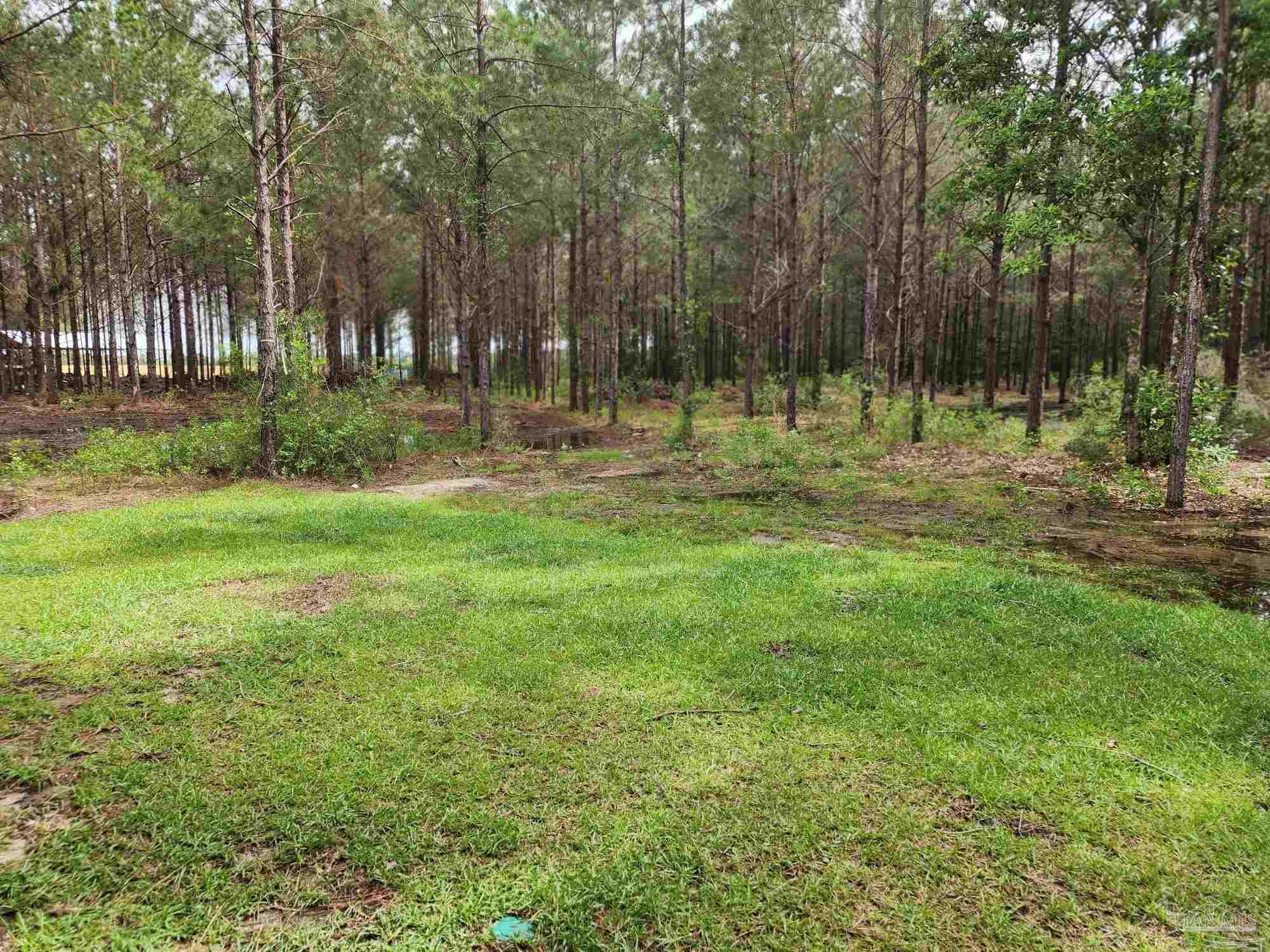 1971 Pineview Church Road Jay, FL 32565 - Photo 26 of 26