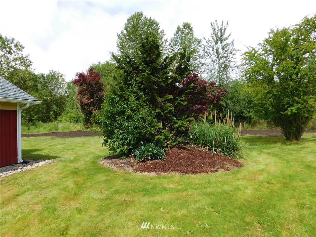2902 Jackson Highway Chehalis, WA 98532 - Photo 29 of 32 a view of a garden with large trees