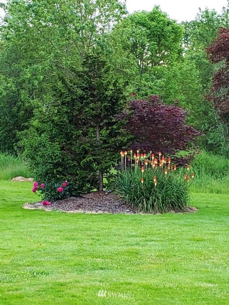 2902 Jackson Highway Chehalis, WA 98532 - Photo 30 of 32 a view of garden with flowers and trees