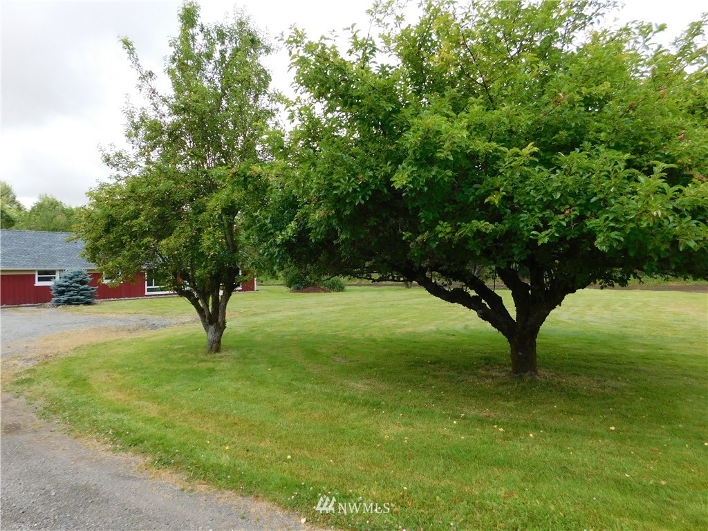 2902 Jackson Highway Chehalis, WA 98532 - Photo 31 of 32 a view of yard with green space