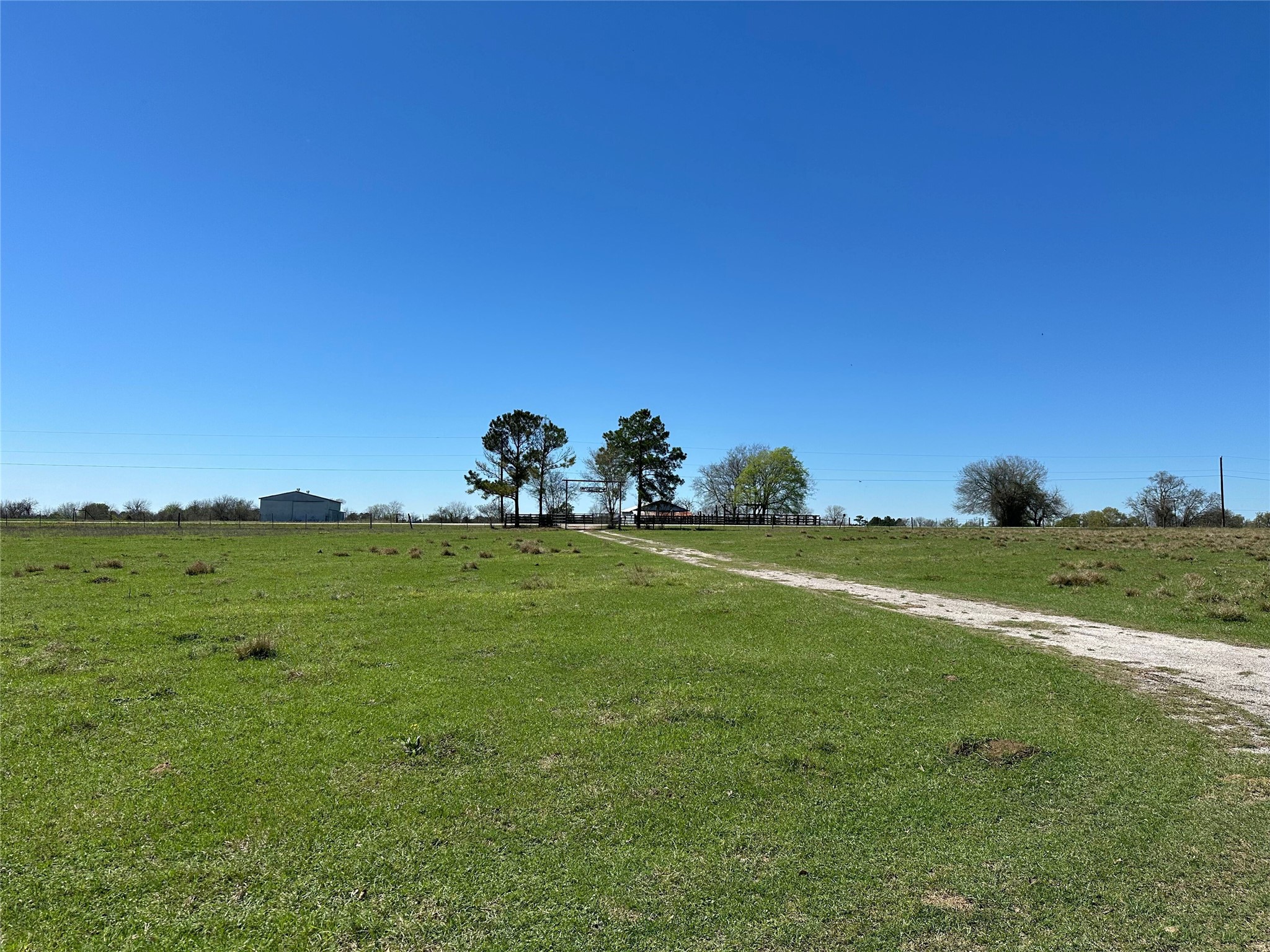20136 Longstreet Road Richards, TX 77873 - Photo 13 of 50