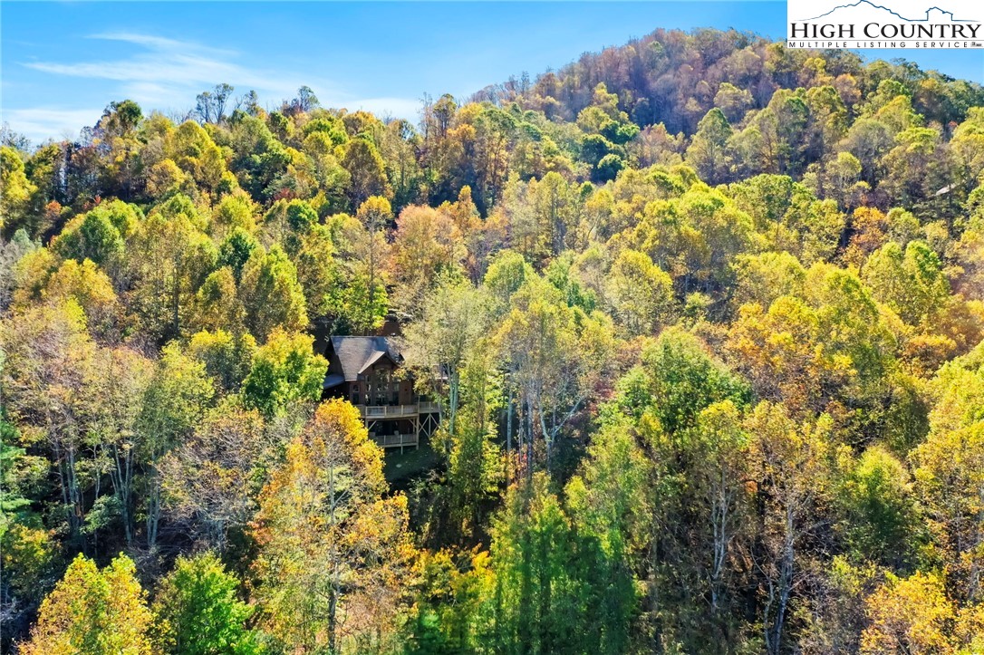 676 Nettles Ridge Road Banner Elk, NC 28604 - Photo 46 of 50 Gallery Image 46