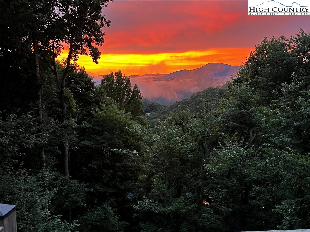 676 Nettles Ridge Road Banner Elk, NC 28604 - Photo 49 of 50 Gallery Image 49
