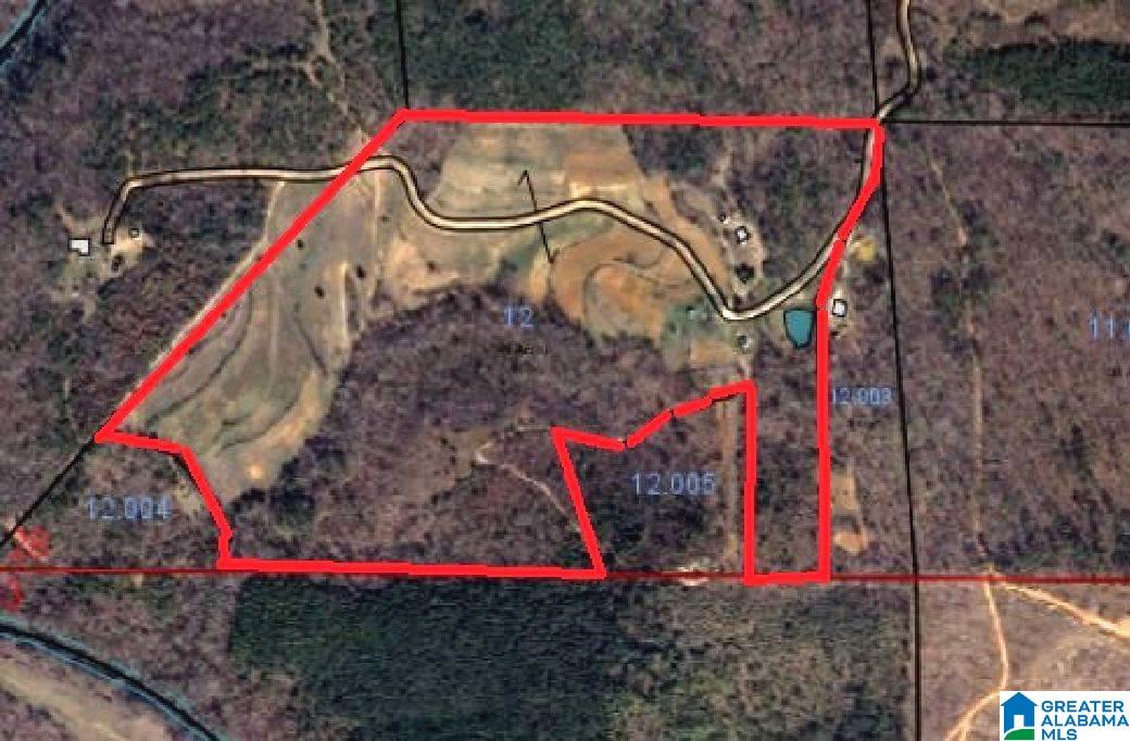 796 Alawashky Road, Unit 46 ACRES Ashland, AL 36251 - Photo 17 of 17