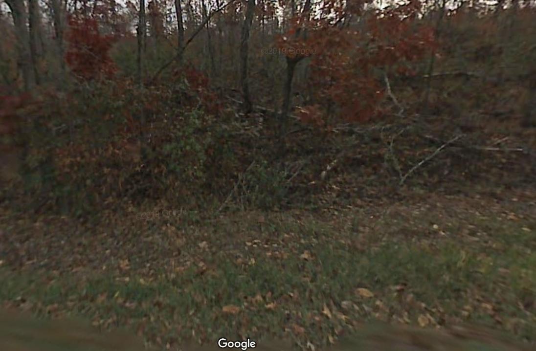 Myers Road Kingston, TN 37763 - Photo 3 of 4 Screenshot (91)