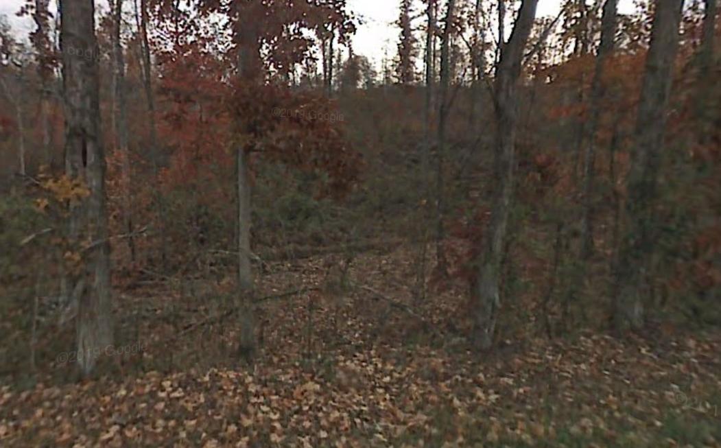 Myers Road Kingston, TN 37763 - Photo 4 of 4 Screenshot (92)