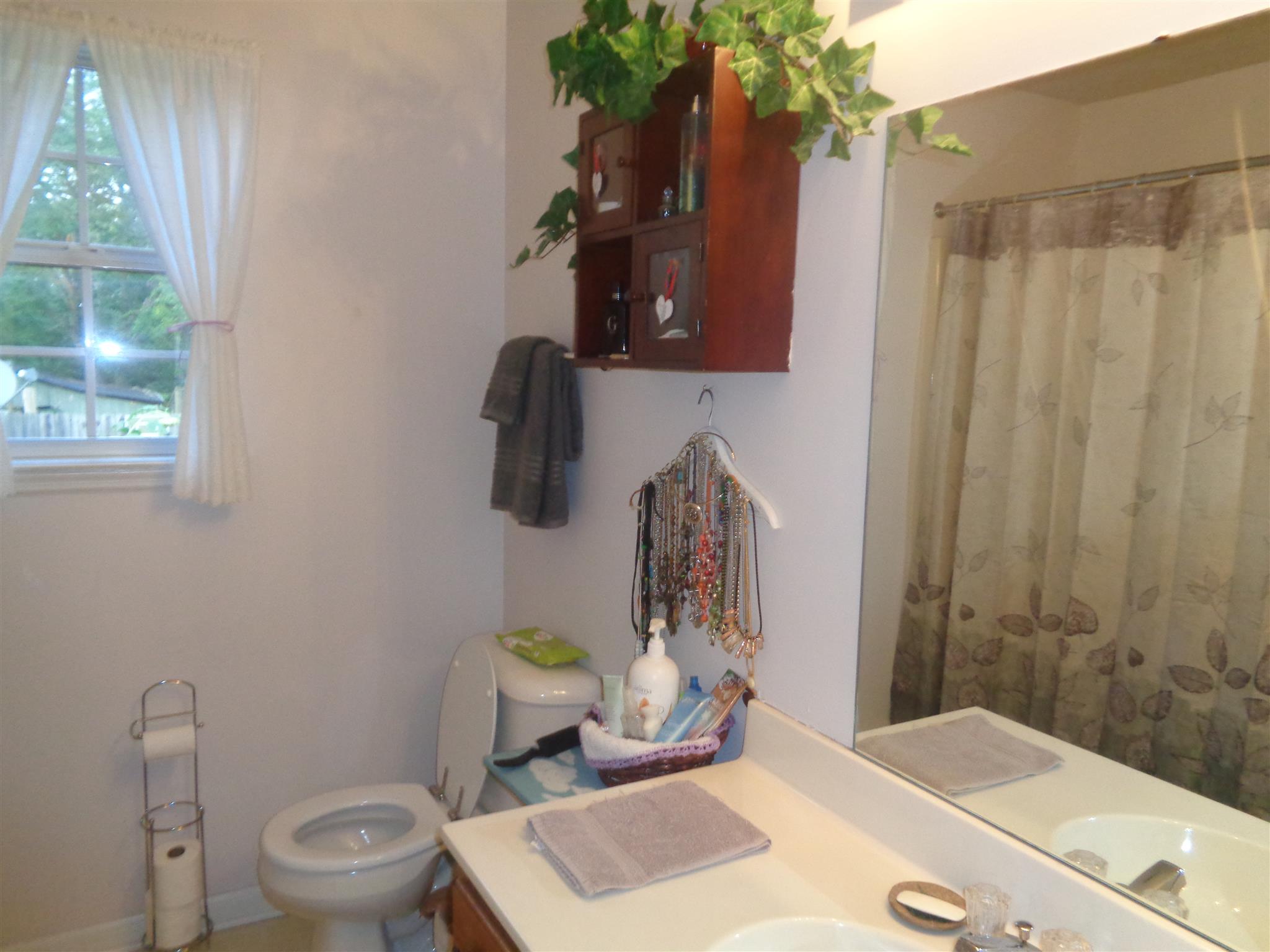1223 Yell Road Lewisburg, TN 37091 - Photo 7 of 14 Master bath has a tub/shower combination.