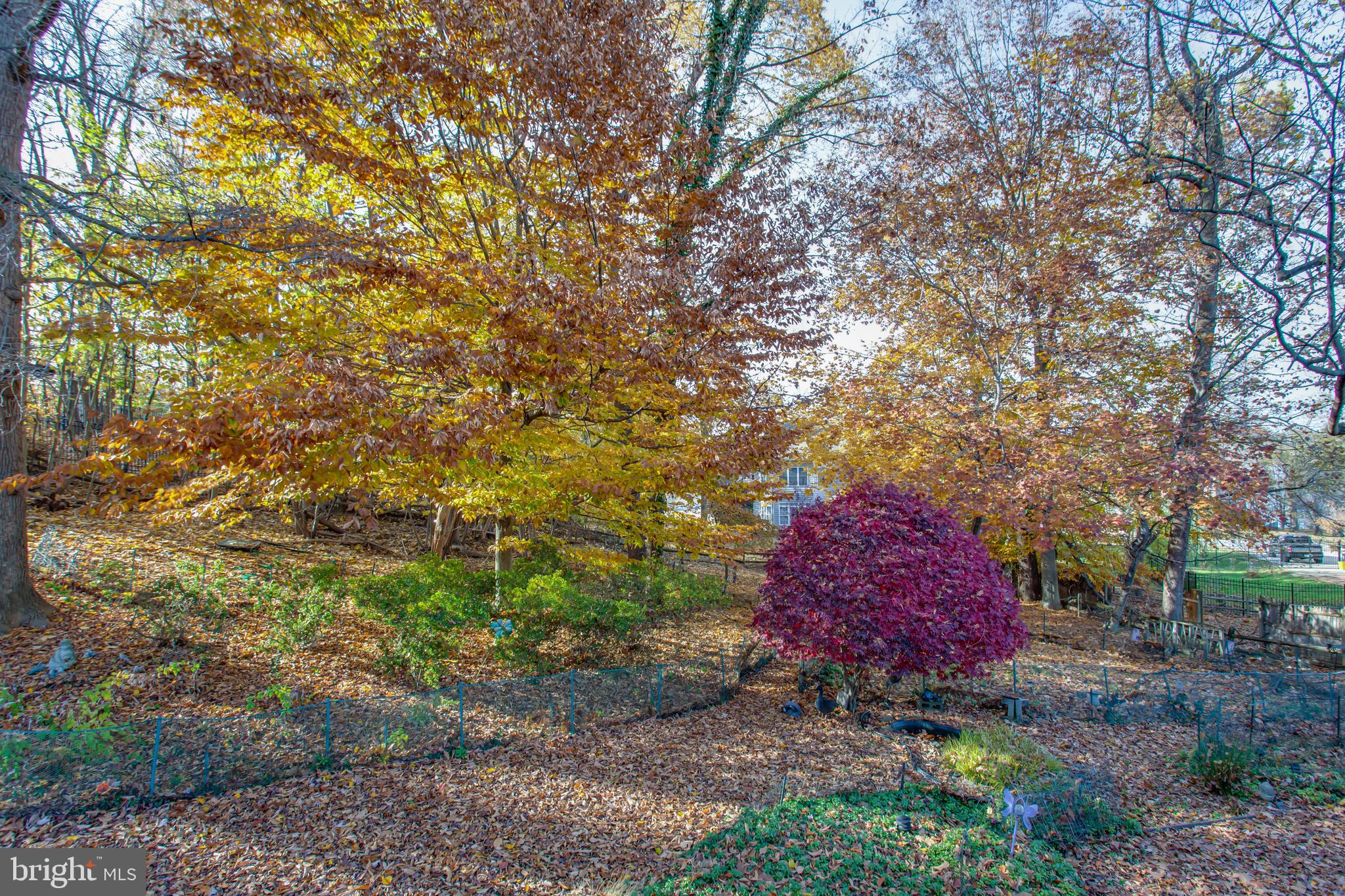 8229 Cagle Road Fort Washington, MD 20744 - Photo 39 of 61 Gallery Image 39