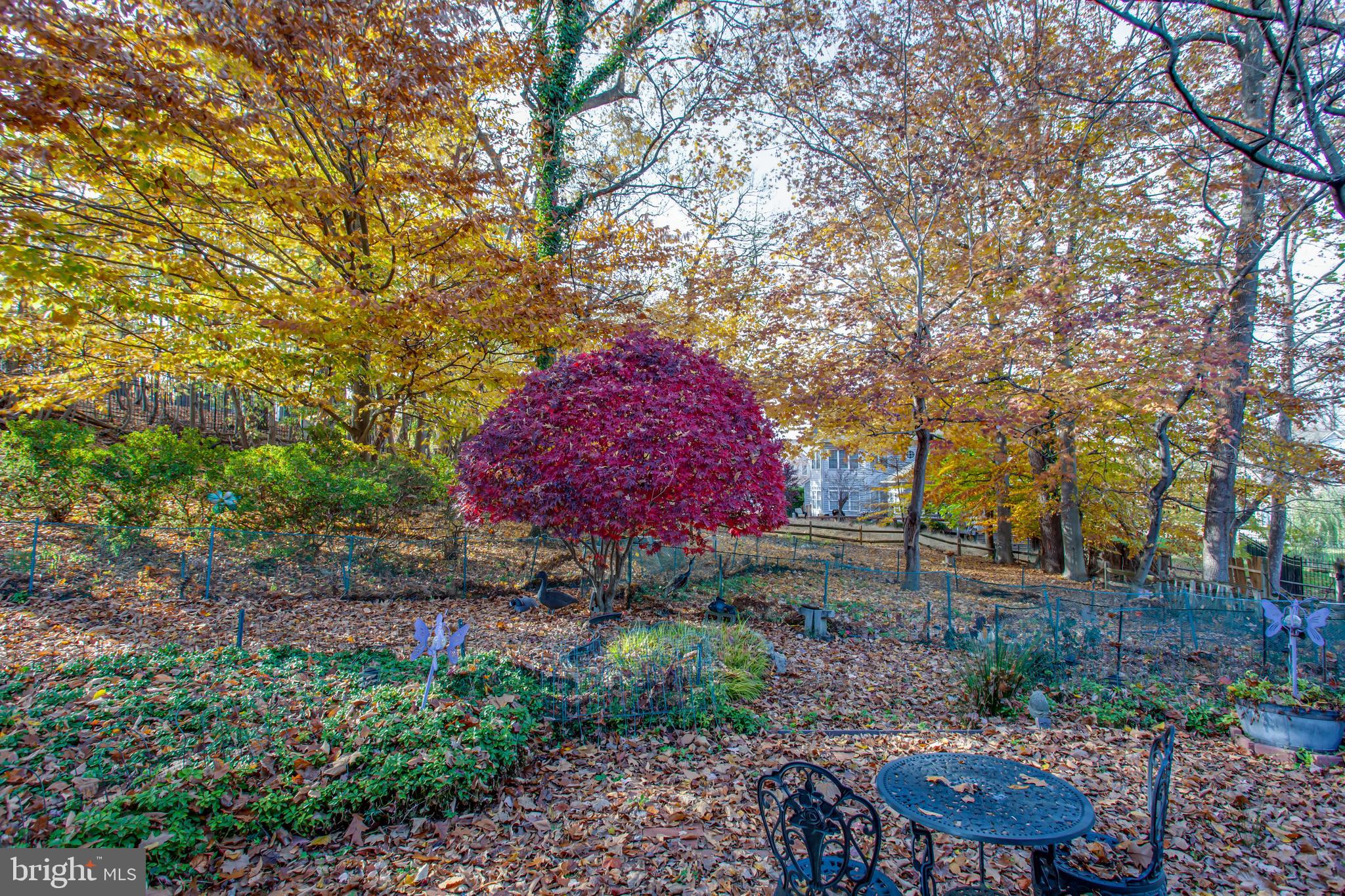 8229 Cagle Road Fort Washington, MD 20744 - Photo 45 of 61 Gallery Image 45